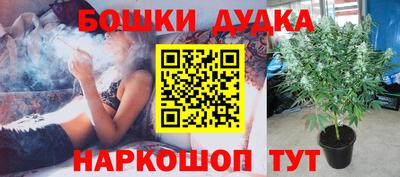 стафф Будённовск