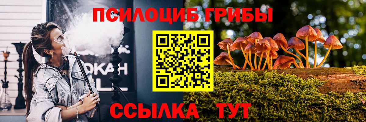 Рубцовск  Галлюциногенные грибы ЛСД  Вход с VPN 
